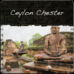 Ceylon Chester Broken Orange Pekoe