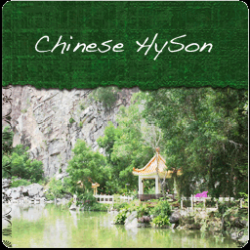 Chinese HySon