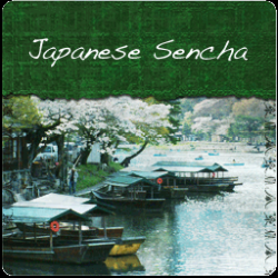 Japan Sencha