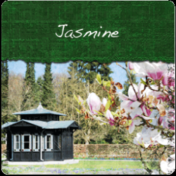 Jasmine with Flowers