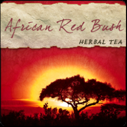 Rooibos (Red Bush) African