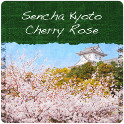Sencha Kyoto Cherry Rose