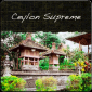 Ceylon Supreme Flowery Orange Pekoe