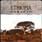 Decaf Ethiopia Longberry