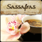 Sassafras