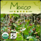 Organic Mexico Coffee Altura Tollan