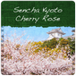 Sencha Kyoto Cherry Rose