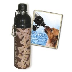 Pet Water Bottle Stainless Steel 24 oz Bone