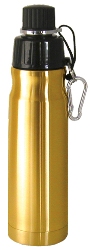 Stainless Steel Water Bottle 16 oz Bronze